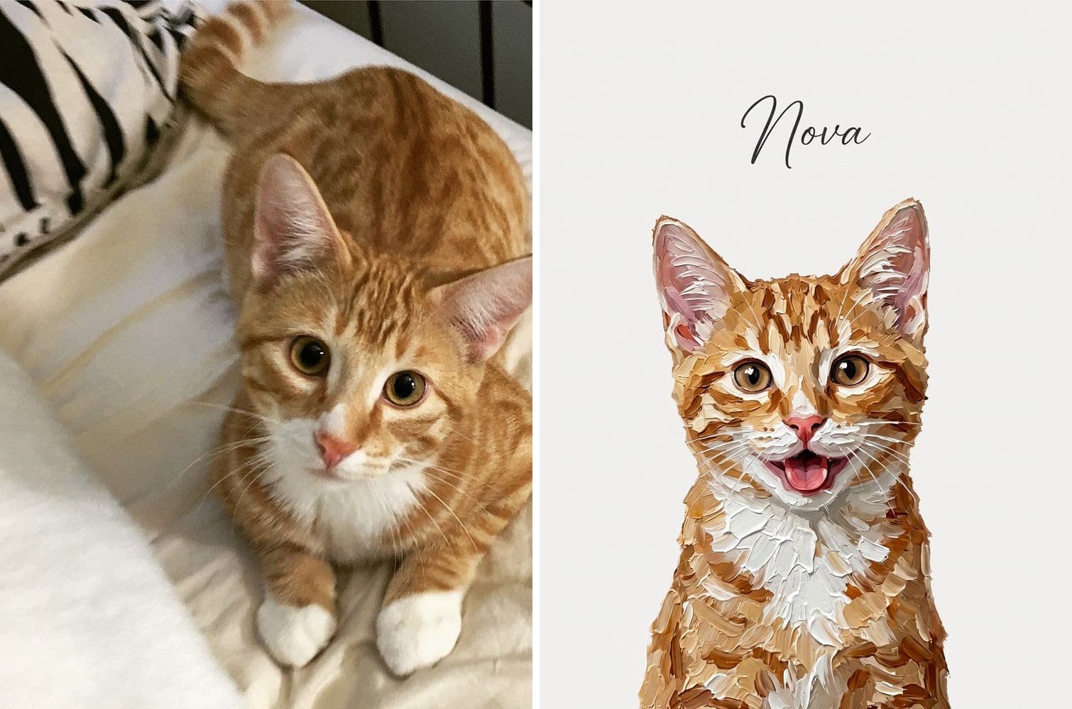 A photo of a ginger tabby cat beside the Modern Portrait painting made from it, showing the same orange striping, white muzzle and white chest, with the name Nova painted above the cat