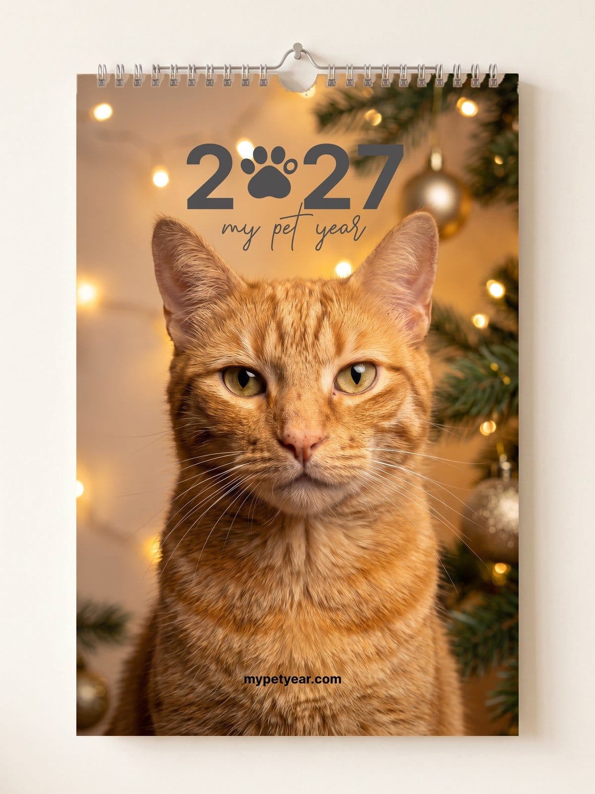 Pet Calendar on a wall, cover with a ginger cat