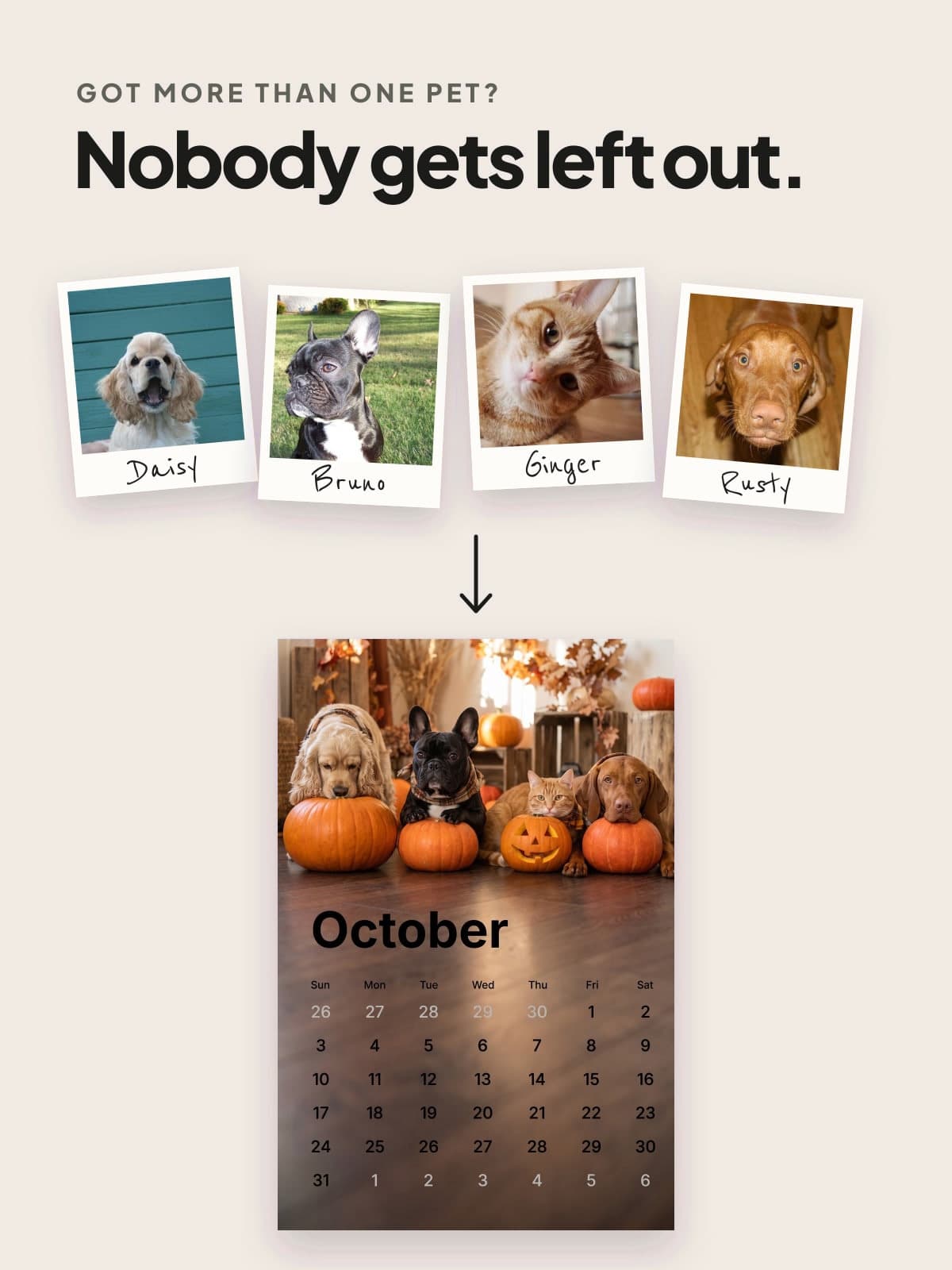 Photos of four pets above an October calendar page with all four of them on it