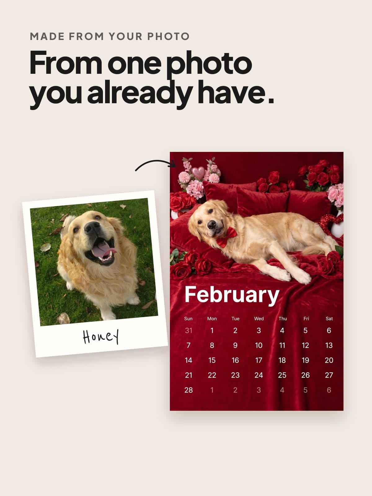A photo of a golden retriever beside the calendar page made from it