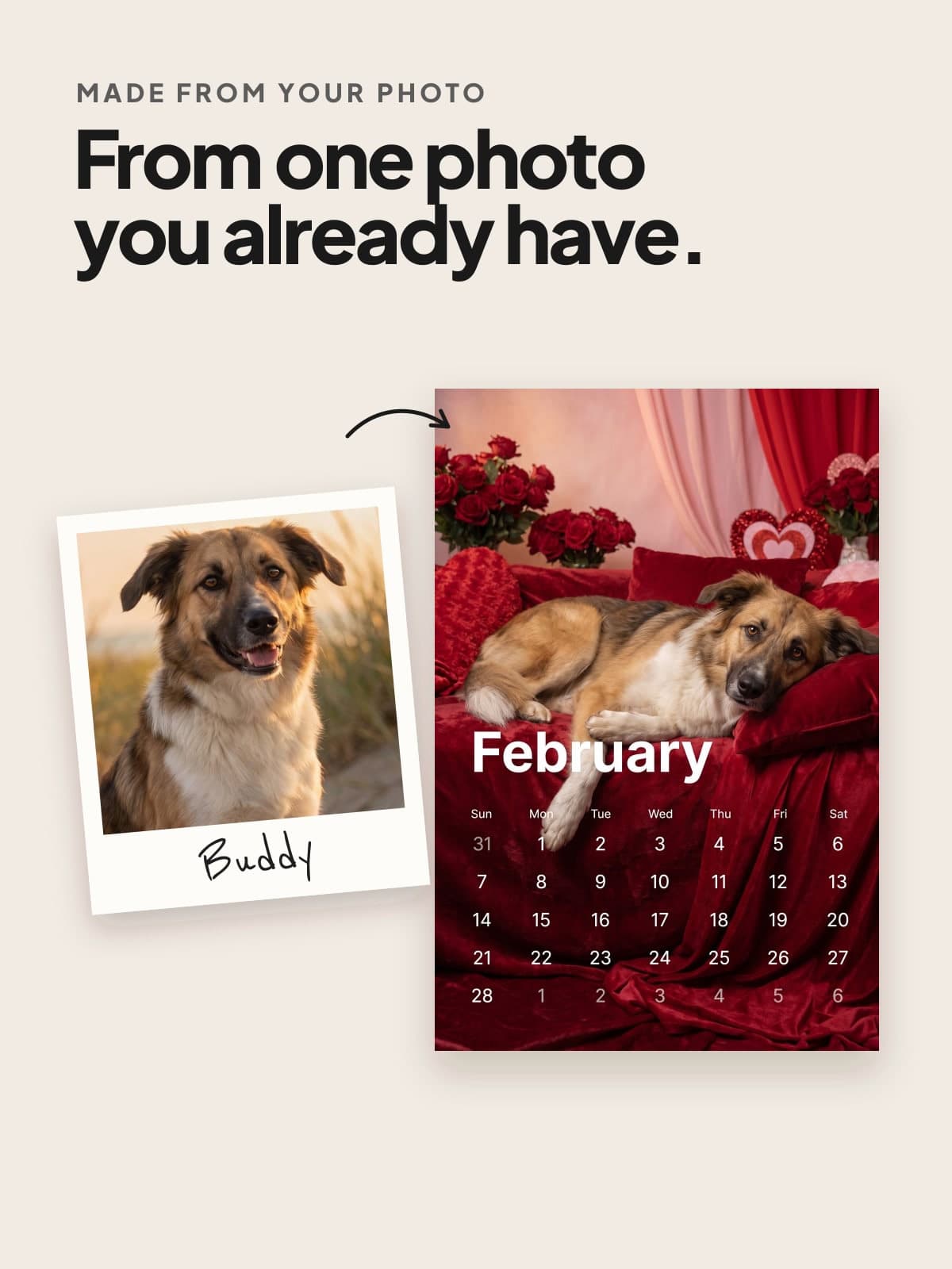 A photo of a shepherd mix beside the calendar page made from it