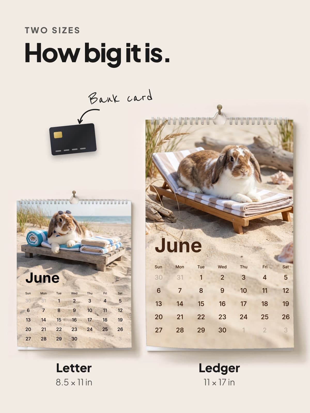 The Letter and Ledger calendars side by side, to scale with a bank card