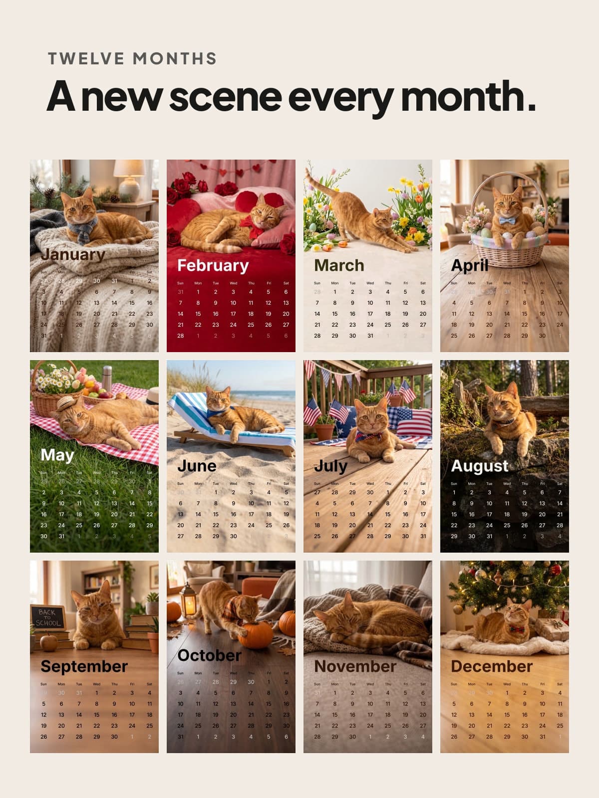 Twelve photo calendar pages of a ginger cat, a new scene every month
