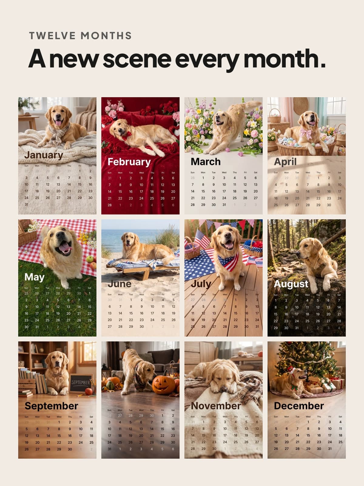 Twelve photo calendar pages of a golden retriever, a new scene every month