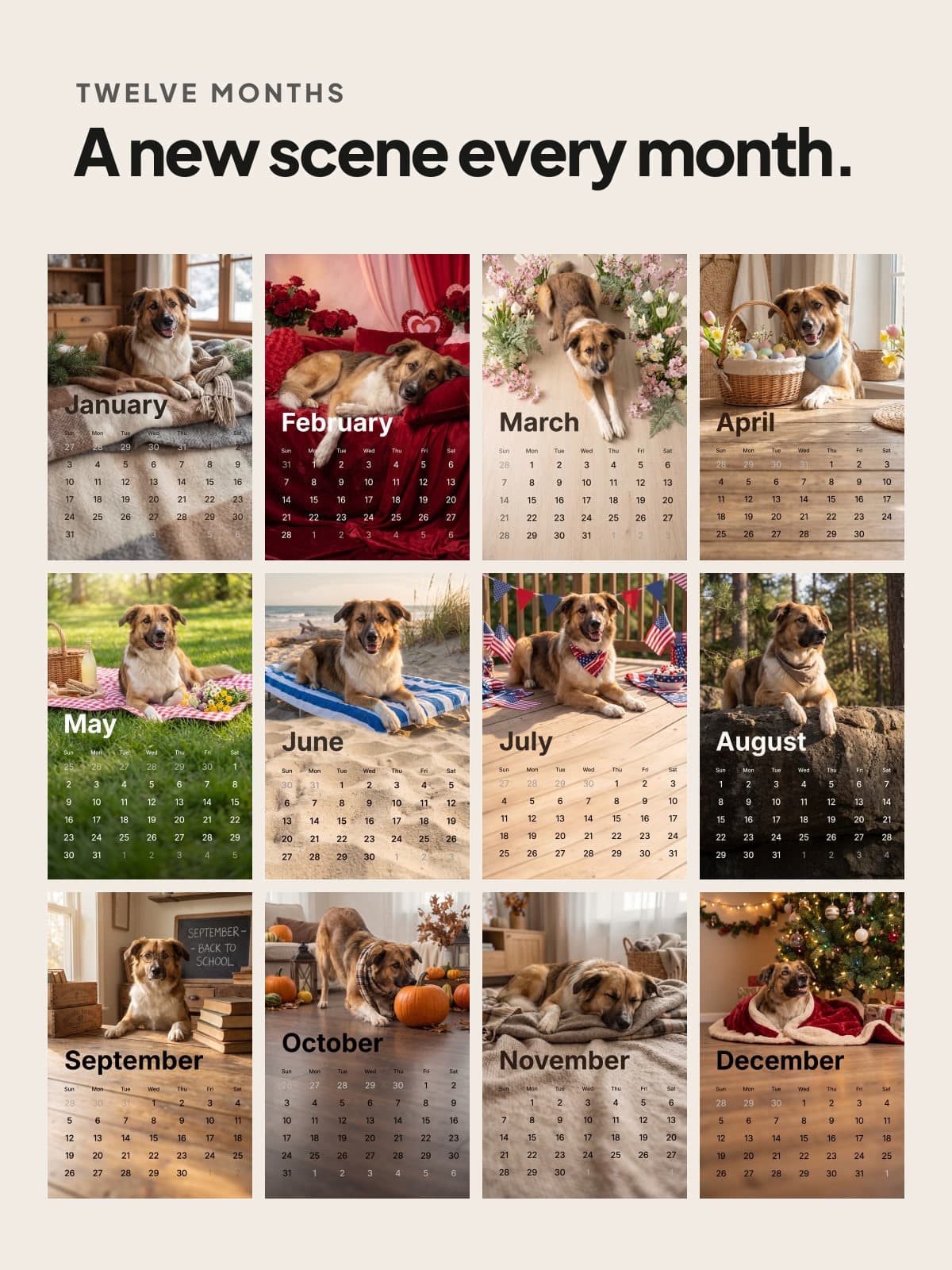 Twelve photo calendar pages of a shepherd mix, a new scene every month